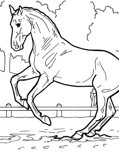 Coloring Pages BreyerHorses Com