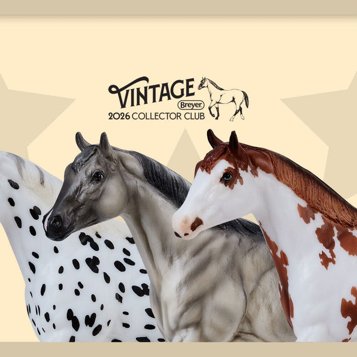 Drifter | 2026 Vintage Club