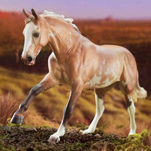 Dundee | 2018 Premier Collection