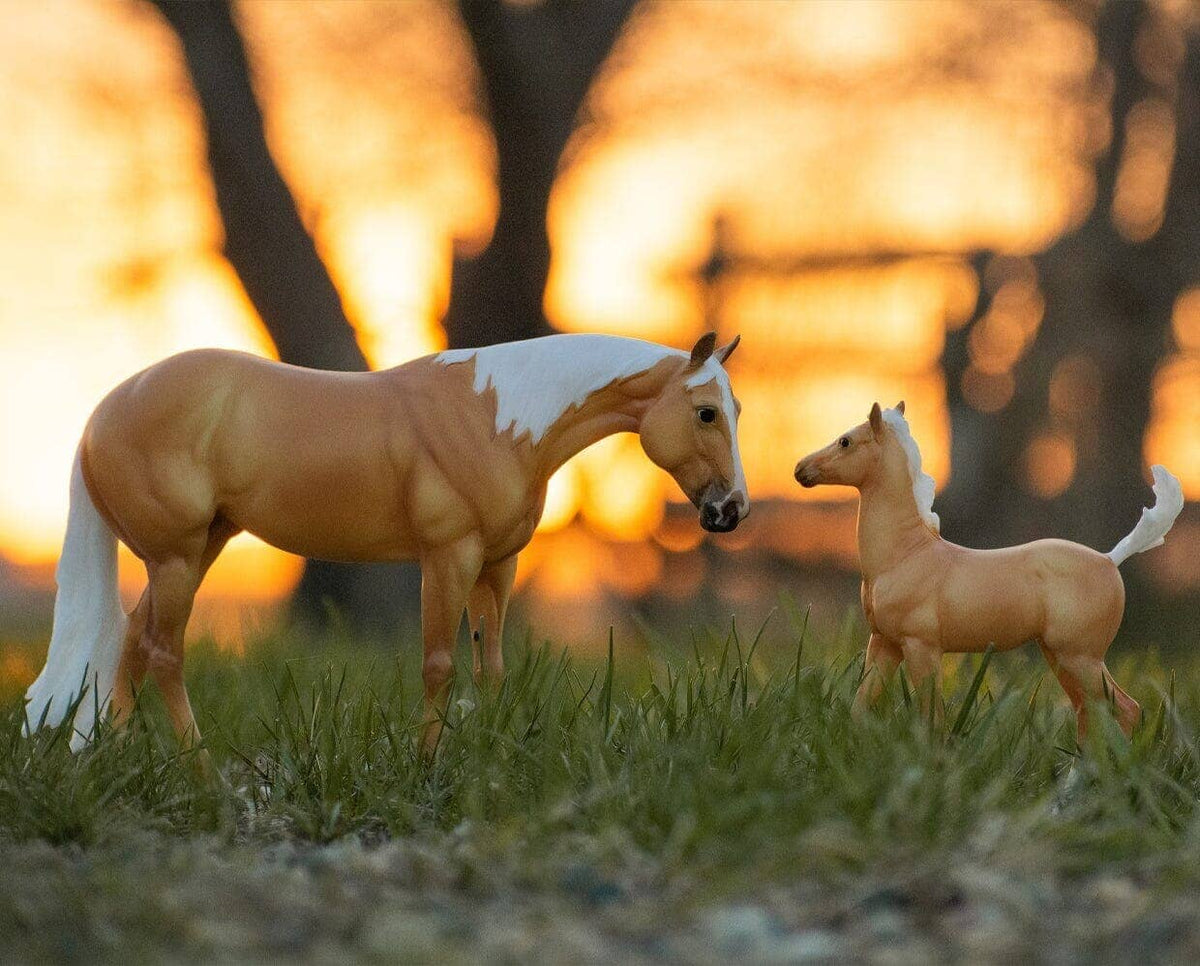 Breyer Traditional Series 1:9 Scale Collectible Model Horses - Ebony Shines and Charlize main image 1