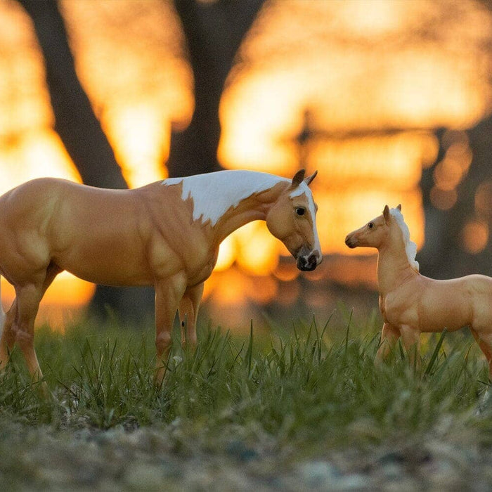 Ebony Shines & Charlize | Quarter Horse Set | Retired