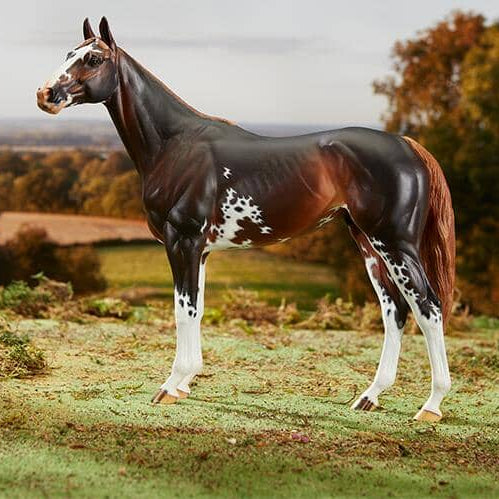 Emerson | 2018 Premier Collection