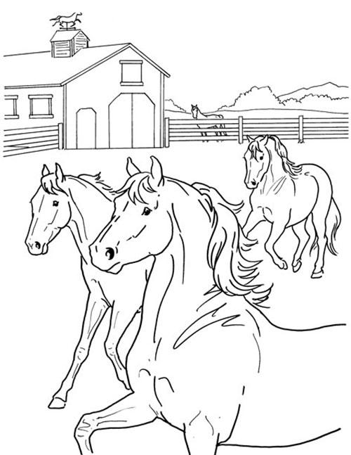 Coloring Pages — BreyerHorses.com
