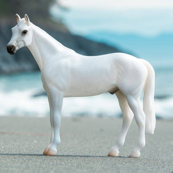 Fleabitten Grey Thoroughbred | Retired