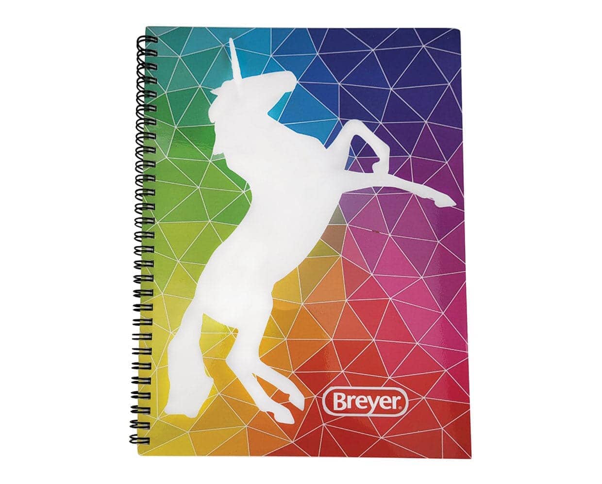 Geo Rainbow Notebook | Retired