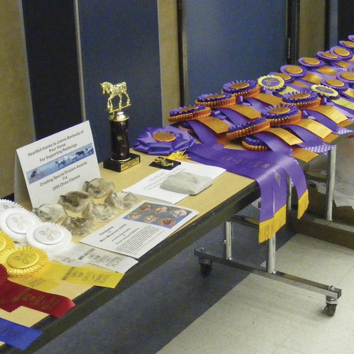 Guide to Hosting a Live Model Horse Show