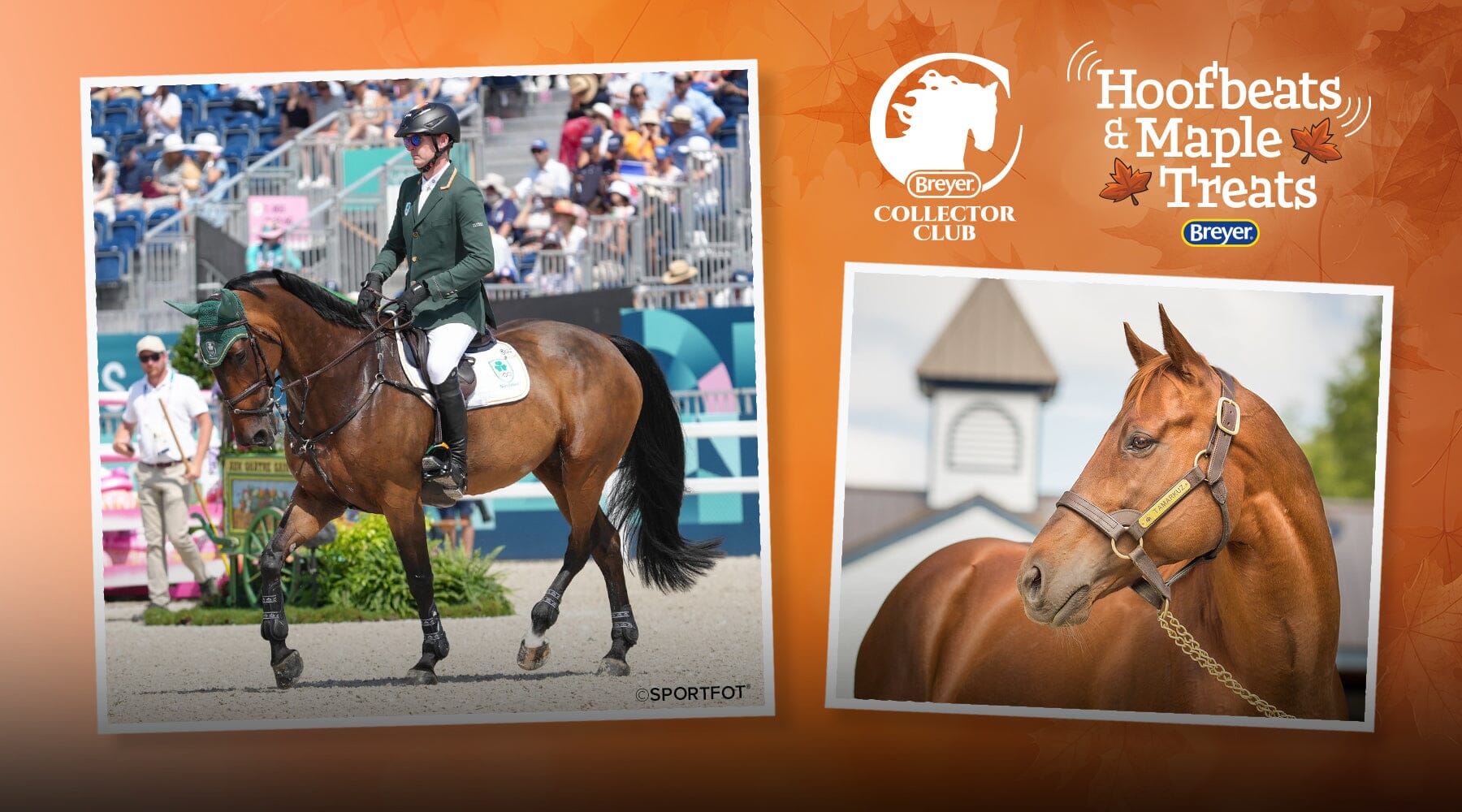 Hoofbeats & Maple Treats Update