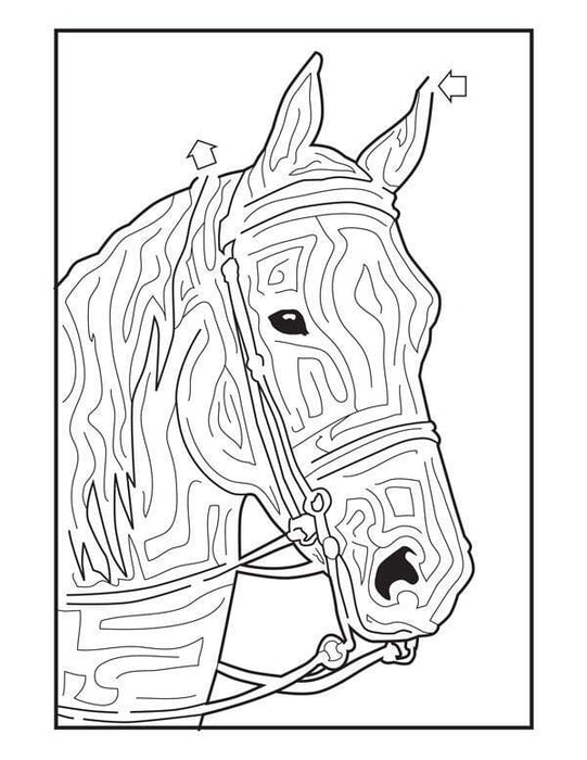 Horse Head Maze