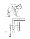 Horse Tack Crossword