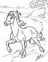 Icelandic Horse Coloring Page