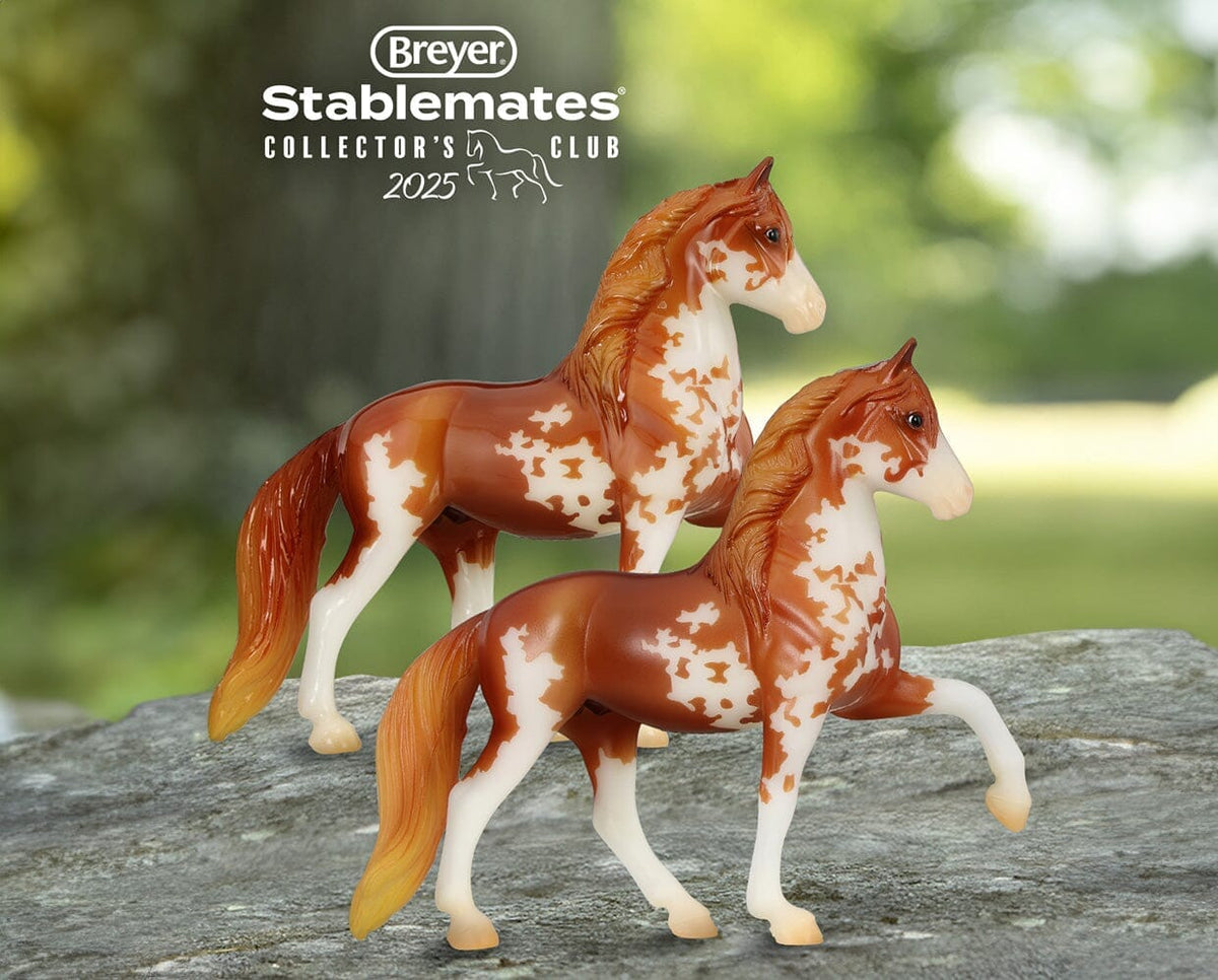 Javier | 2025 Stablemates Club — BreyerHorses.com