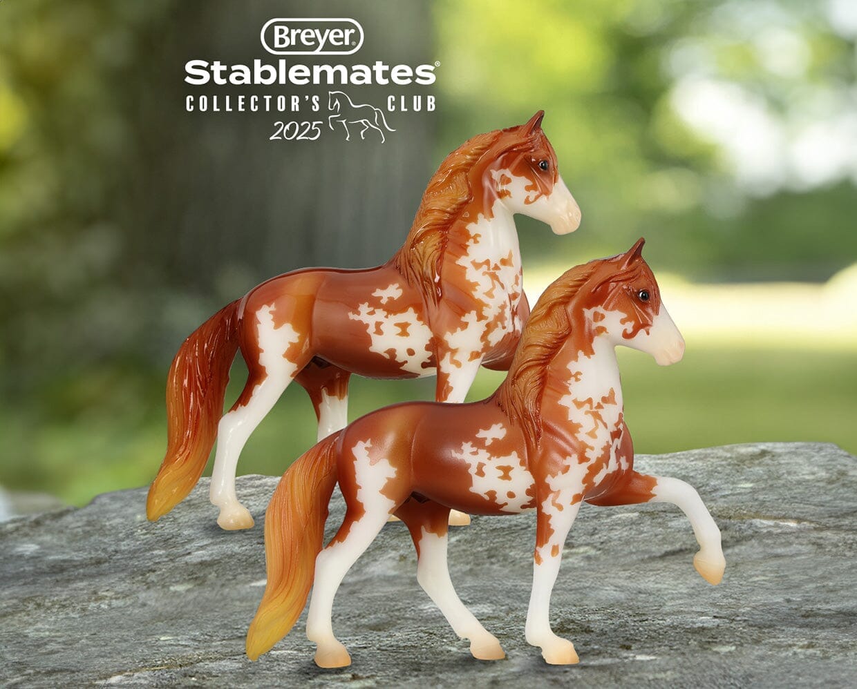 Javier | 2025 Stablemates Club