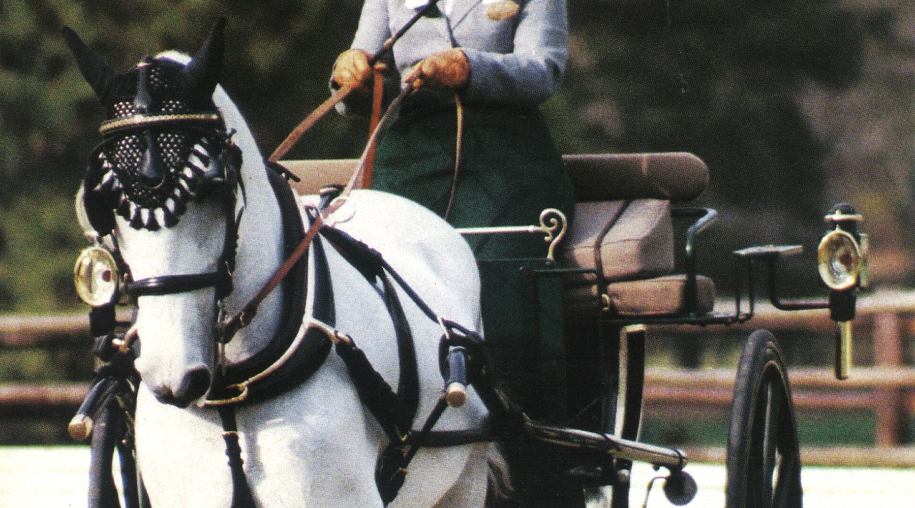 Just About Horses January/February 1999