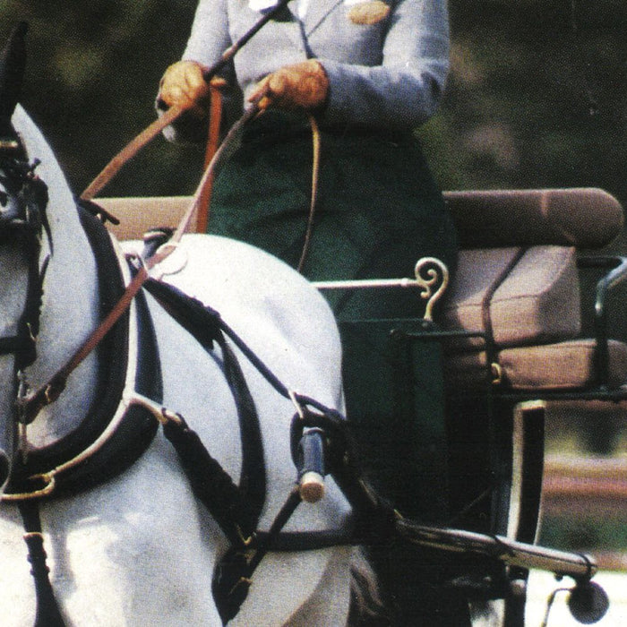 Just About Horses January/February 1999