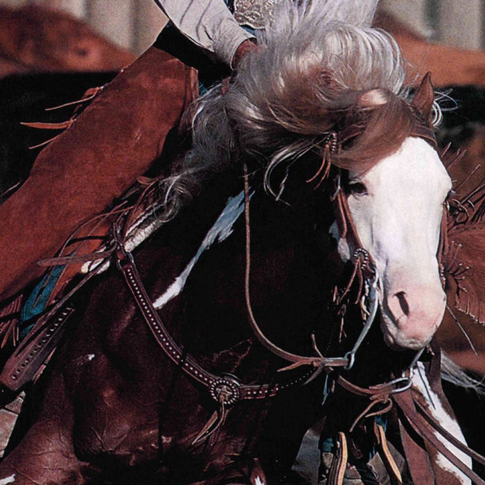 Just About Horses September/October 2003