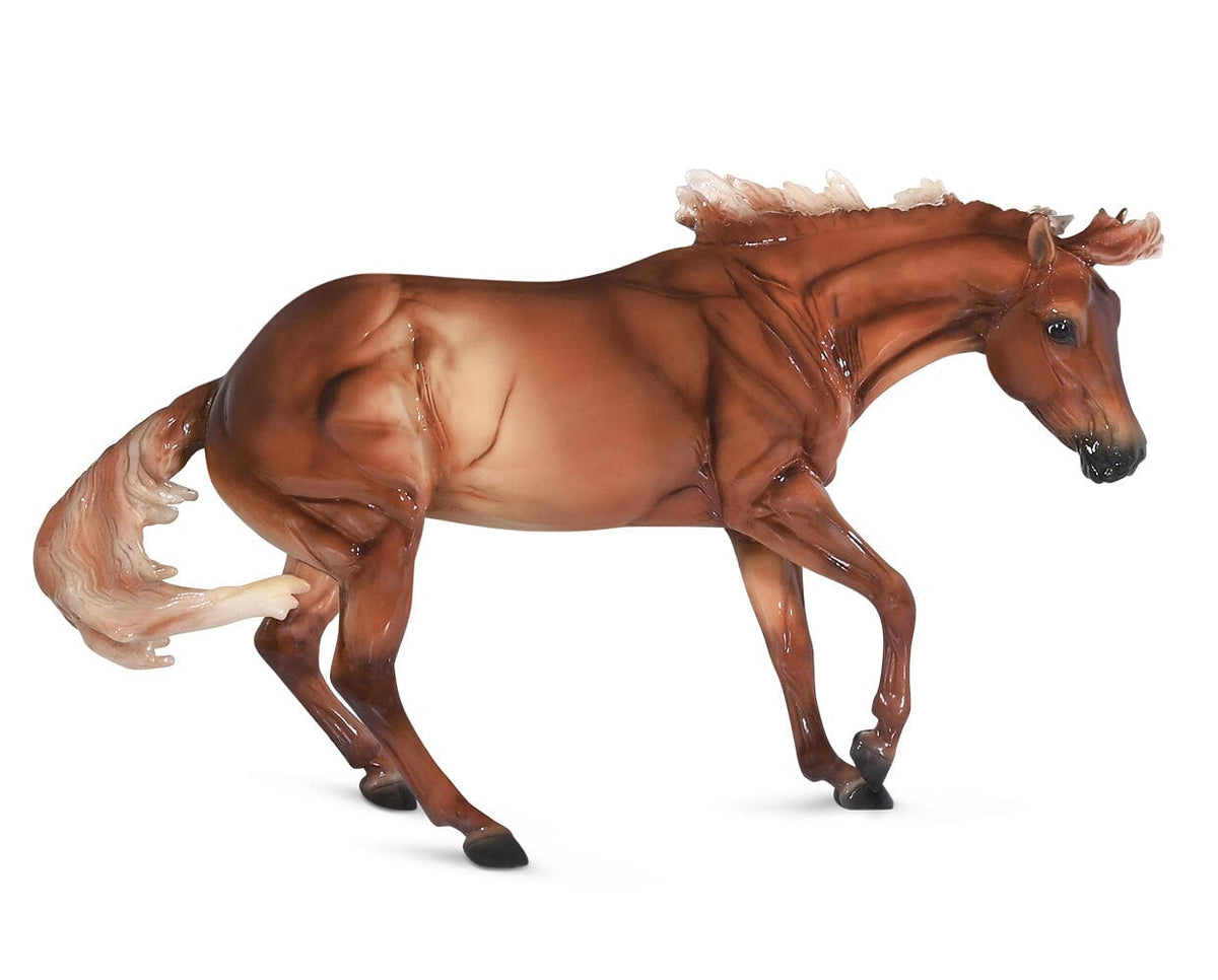 kendall-2022-brick-mortar-