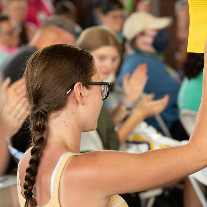 Last 2024 Auction Reveals & Bidder Signup!