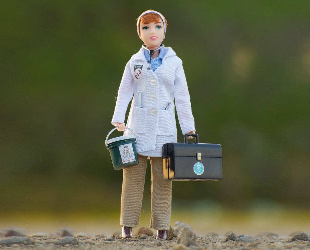 Laura - Veterinarian 8" Figure | Retired