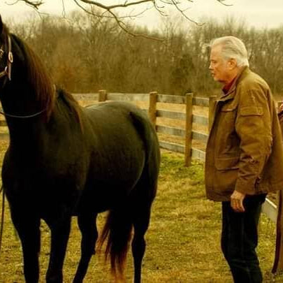 Dixie in the movie Orphan Horse.