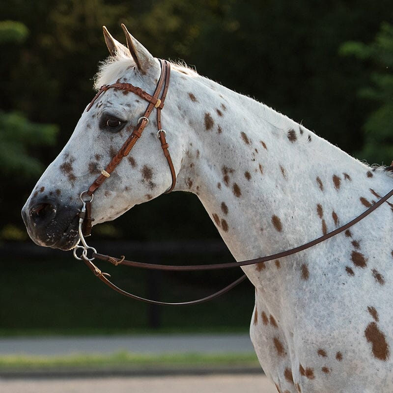 Ricky Rocker Lil' Ricky Rocker — BreyerHorses.com