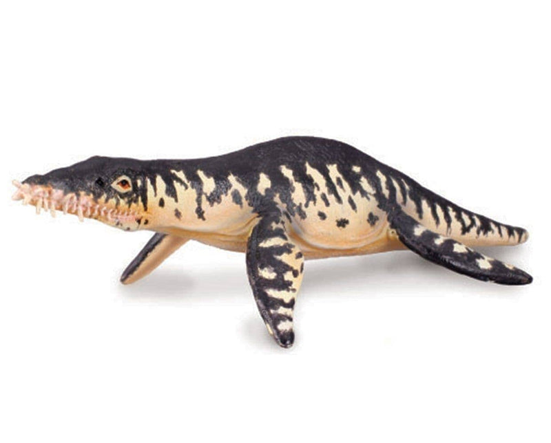 Lionctoy lionchen 龍蚕 Liopleurodon | Retired — BreyerHorses.com