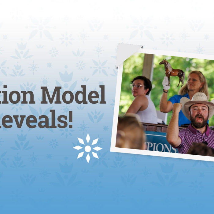 Live Auction Sneak Peek!