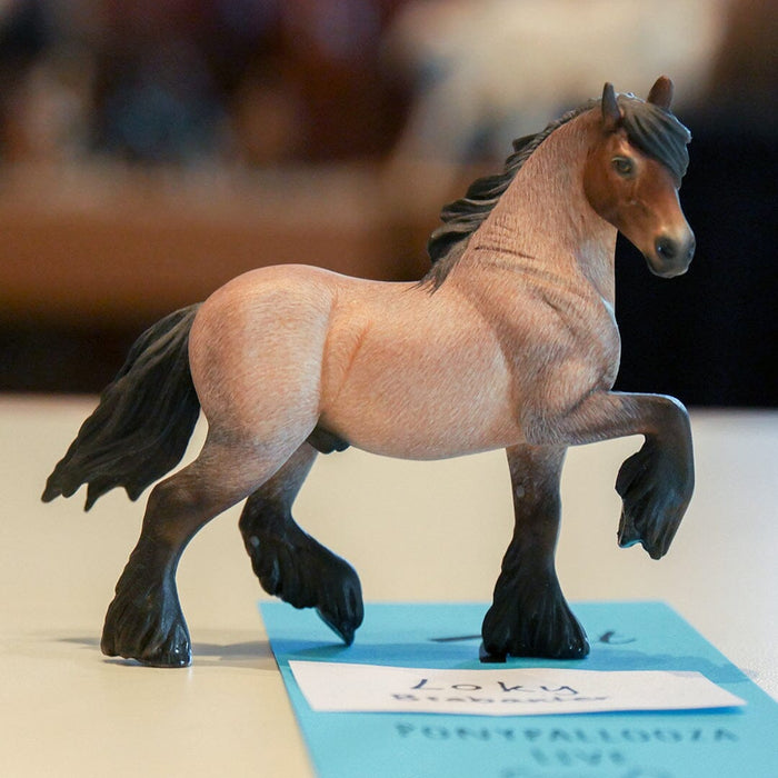 Live Show Report: Ponypallooza 2023