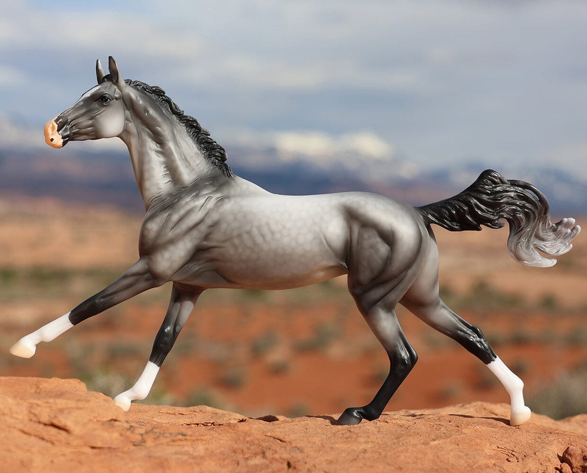 Maddox | Retired — BreyerHorses.com