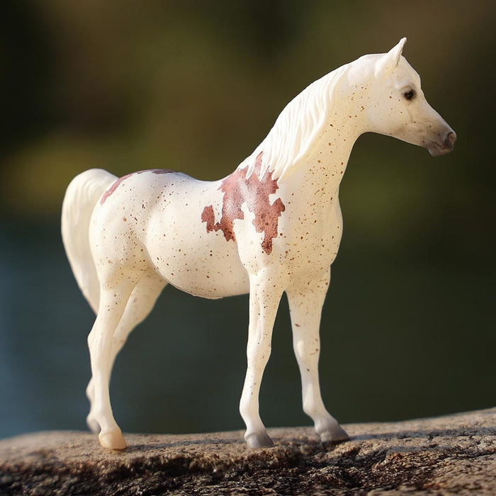 Madonna | 2025 Stablemates Club