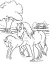Mare and Foal Coloring Page