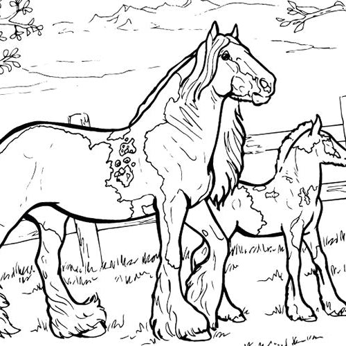 Coloring Pages — BreyerHorses.com