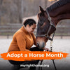 May is Adopt a Horse Month!