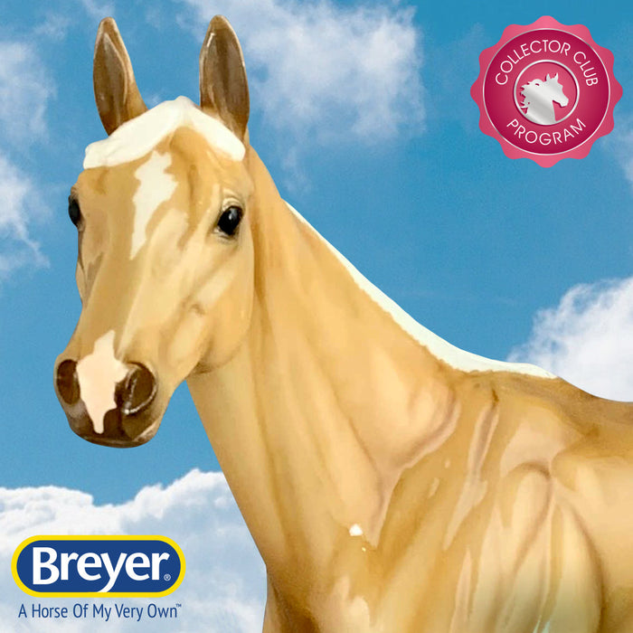 Meet Chadwick: Coming This Fall to the Collector Club!