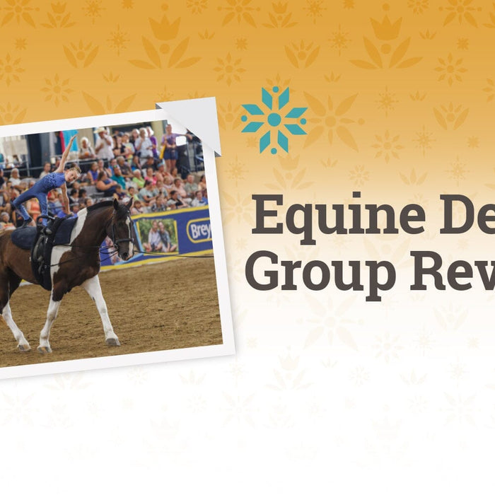 Meet The Ohio Standardbreds!