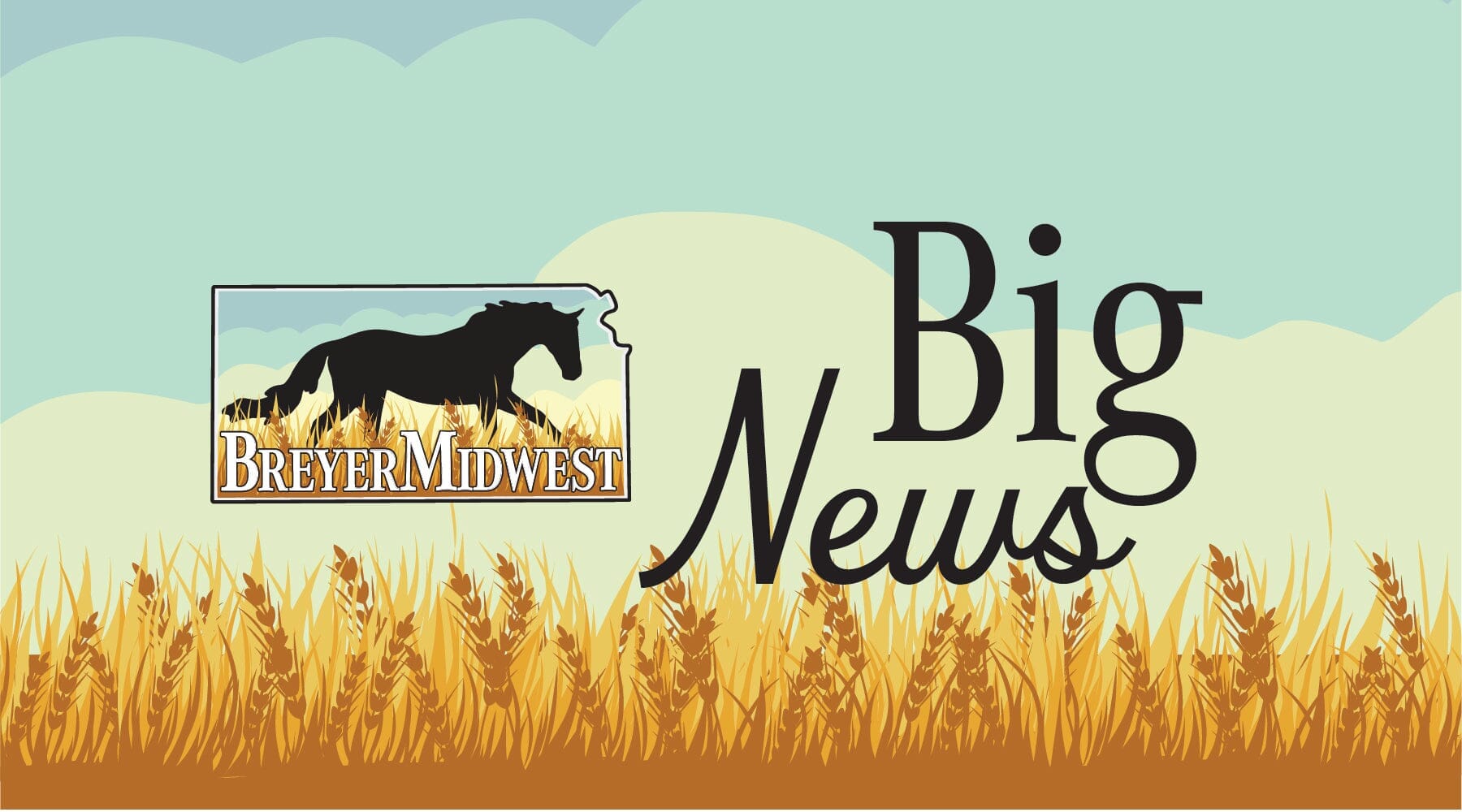 Meet Your Show Manager!