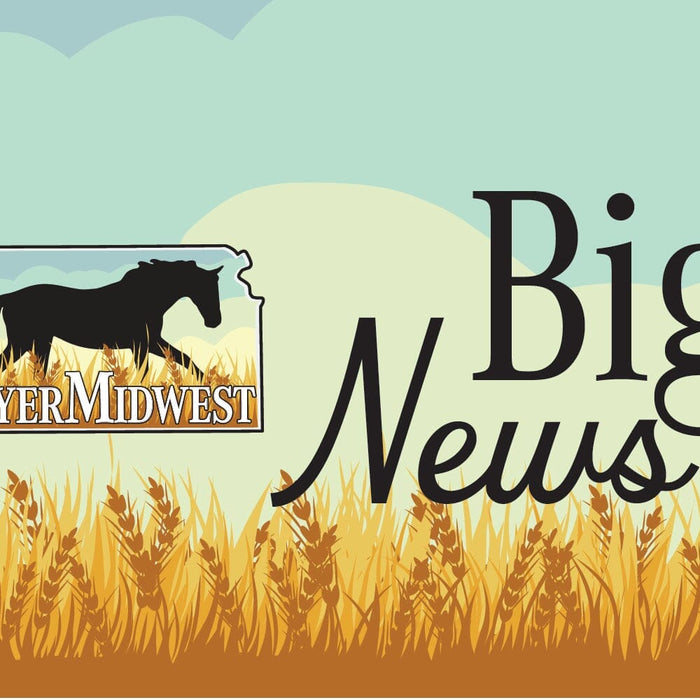 Meet Your Show Manager!