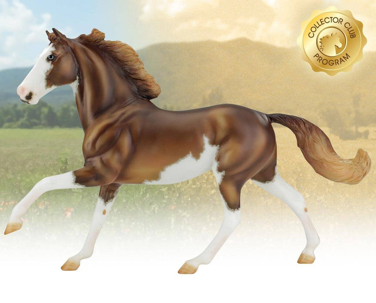 Midas | 2021 Collector Club — BreyerHorses.com