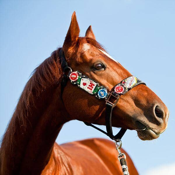 Nobody Knows Like BabyFlo