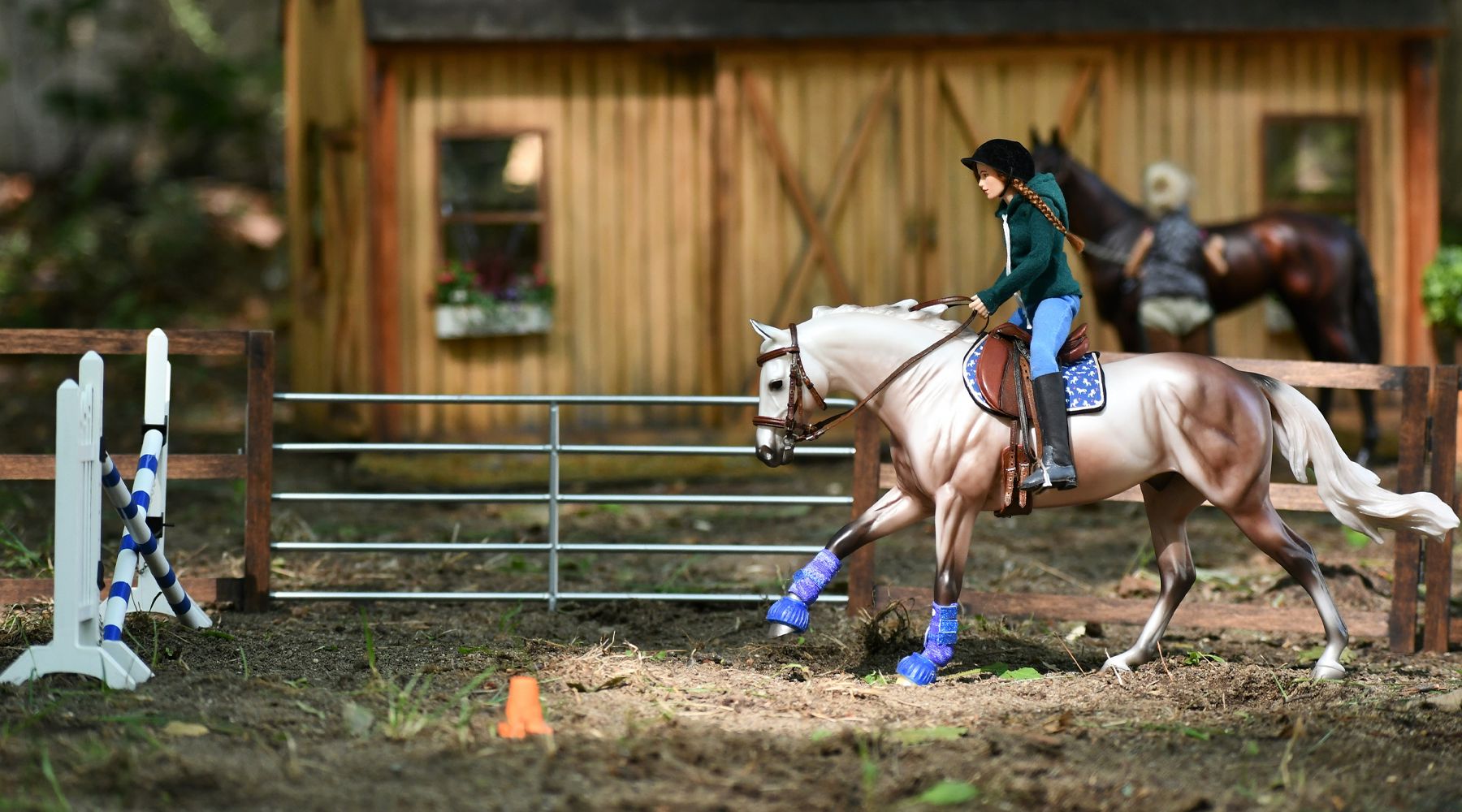 One Model, Many Ways: the Australian Stock Horse