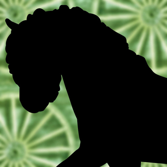 Our Final SR Reveal!