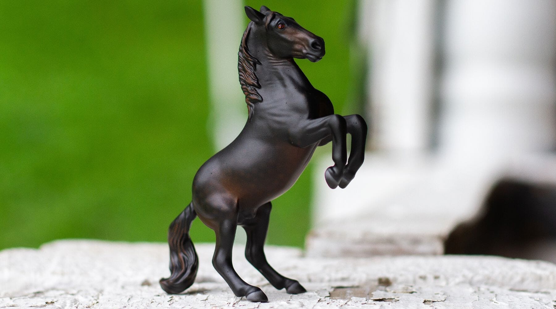 Painting a Black Horse in Pastels Workshop