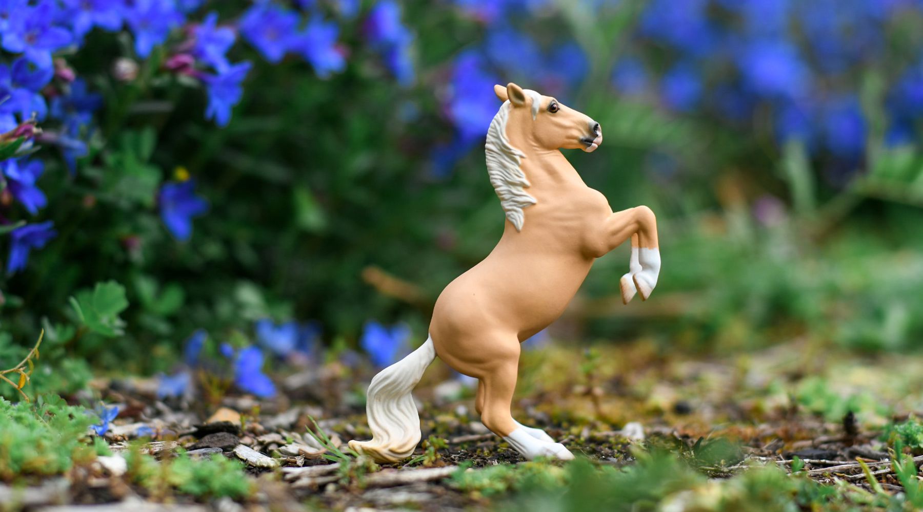 Painting Golden Palominos: Video Tutorial