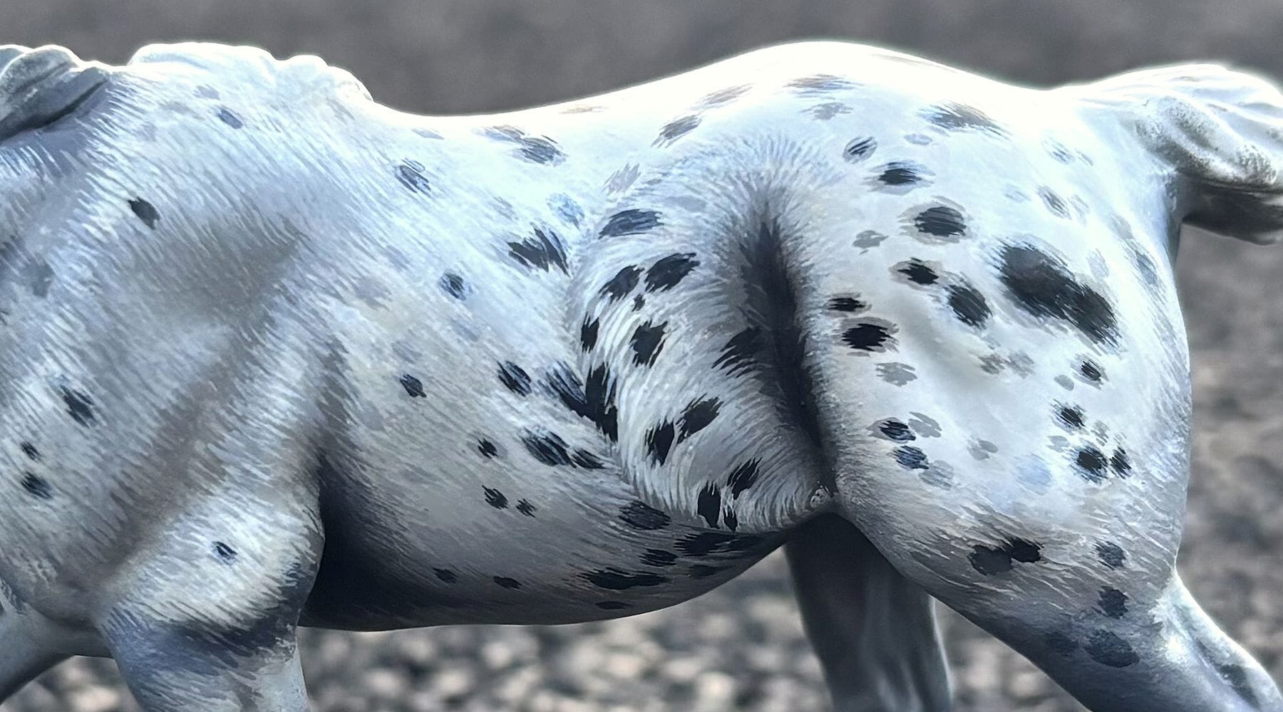 Painting Hair-By-Hair Appaloosas Workshop