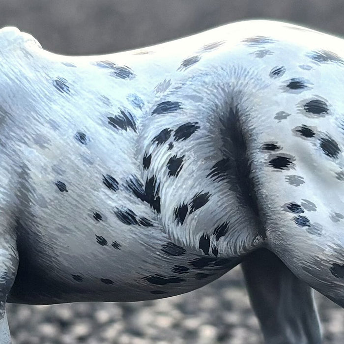 Painting Hair-By-Hair Appaloosas Workshop