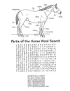 Parts of the Horse Word Search