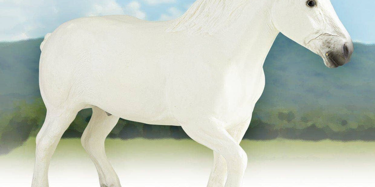 percheron-breyer-breeds-