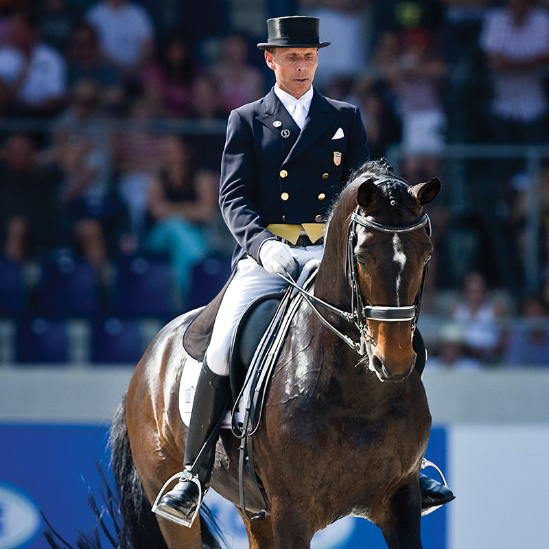 Ravel — BreyerHorses.com