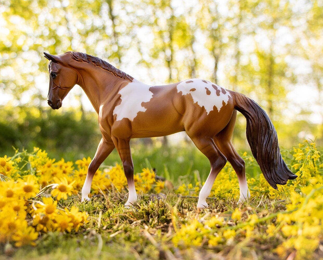 Red Dun Pintaloosa | Retired