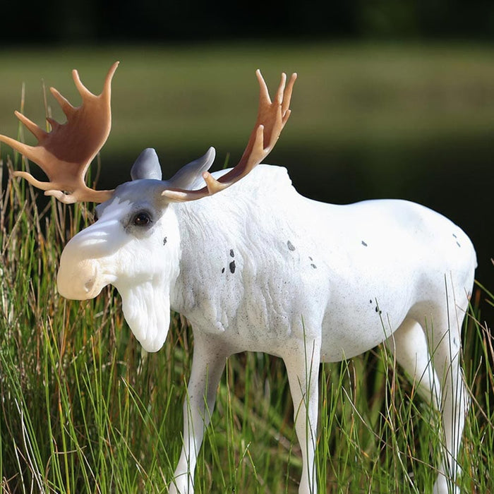 Roddick | Animal Web Special | Retired