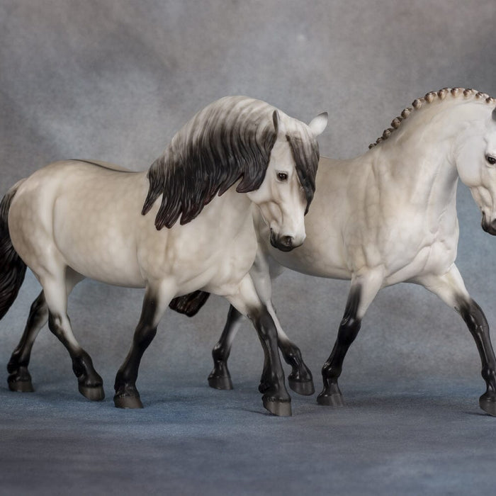 Rowan | Full and Braided Mane | Premier 2025